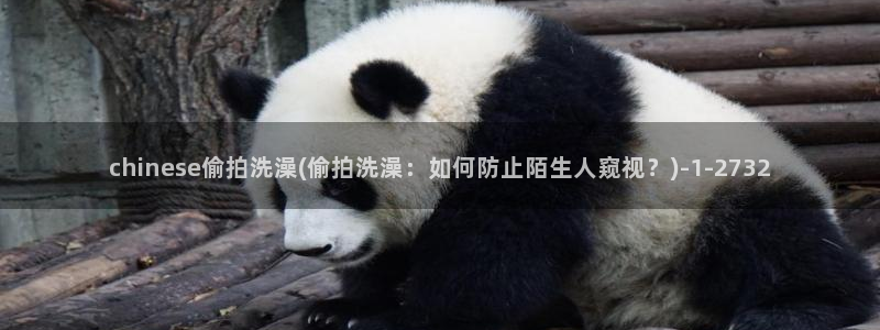 中国自偷拍精品视频