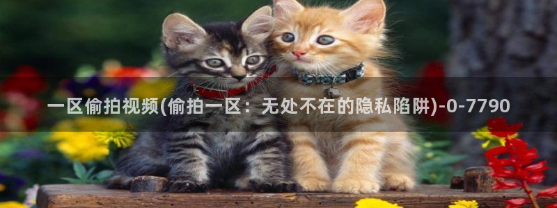 长安大学偷拍事件